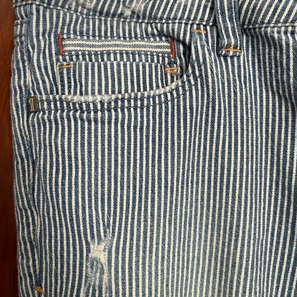 COPY - Anthropologie Pilcro and the Letterpress Pinstripe High Rise Skinny Jean… - Picture 7 of 13